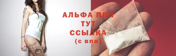 спиды Ладушкин