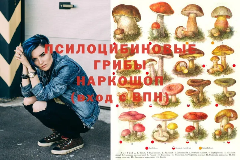 даркнет сайт  Красногорск  Псилоцибиновые грибы Magic Shrooms 